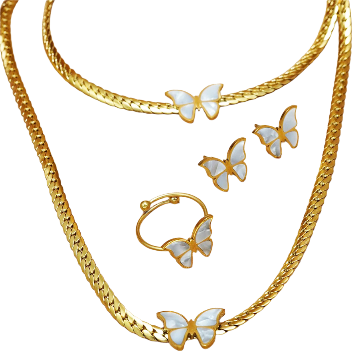 Monarch Butterfly Collection